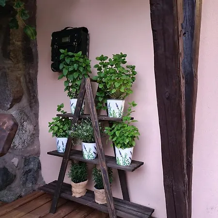 Swojski Gosciniec Bed & Breakfast