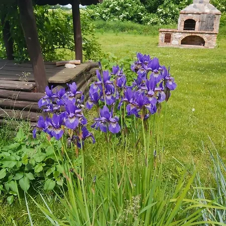 Bed & Breakfast Swojski Gosciniec *