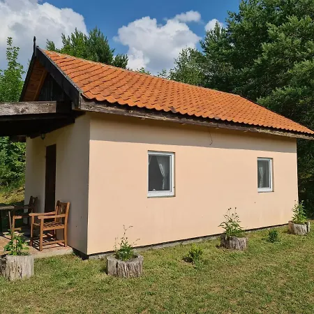 Swojski Gosciniec Отель типа 