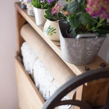 Bed & Breakfast Swojski Gosciniec Prazmowo