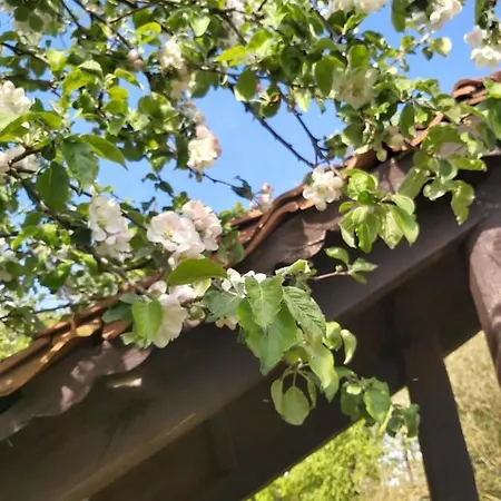 Swojski Gosciniec 3*