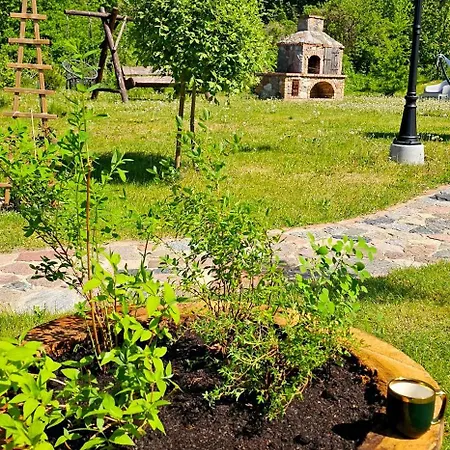 Bed & Breakfast Swojski Gosciniec *