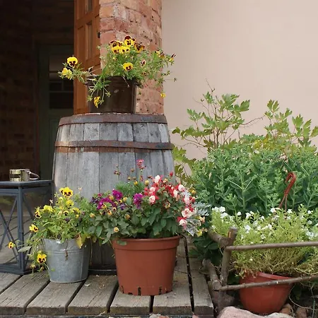 Swojski Gosciniec Prażmowo